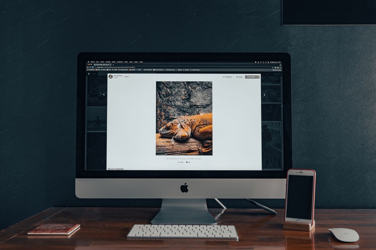 Sitios web y servicios de desarrollo a medida: Diseño responsivo moderno, pensado para verse bien en el teléfono